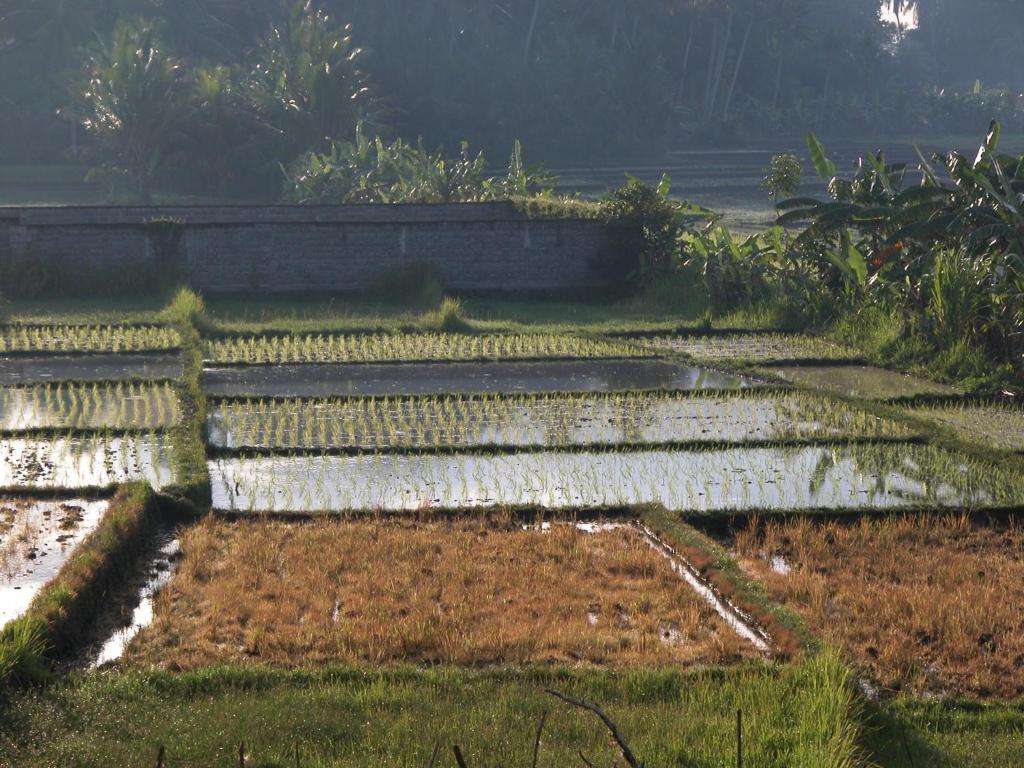 Villa Kawan Tanah Lot Rum bild